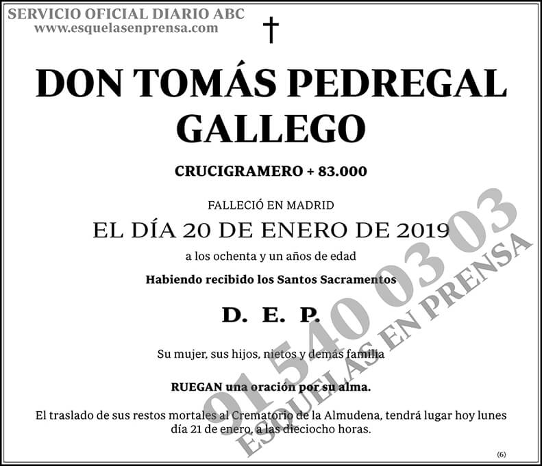 Tomás Pedregal Gallego