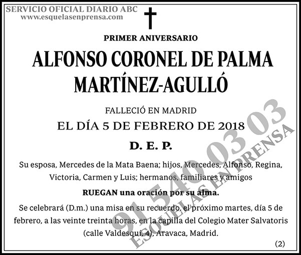 Alfonso Coronel de Palma Martínez-Agulló