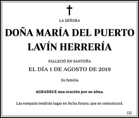 María del Puerto Lavín Herrería