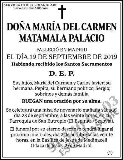 María del Carmen Matamala Palacio