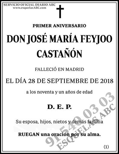 José María Feyjoo Castañón